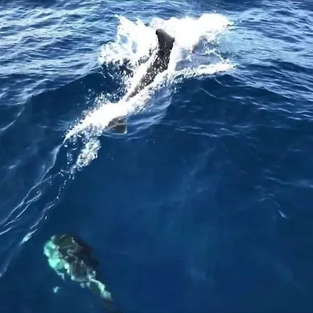 Luxury Catamaran Lagoon 42, Ac & Gn Πλωτό κατάλυμα Σπλιτ